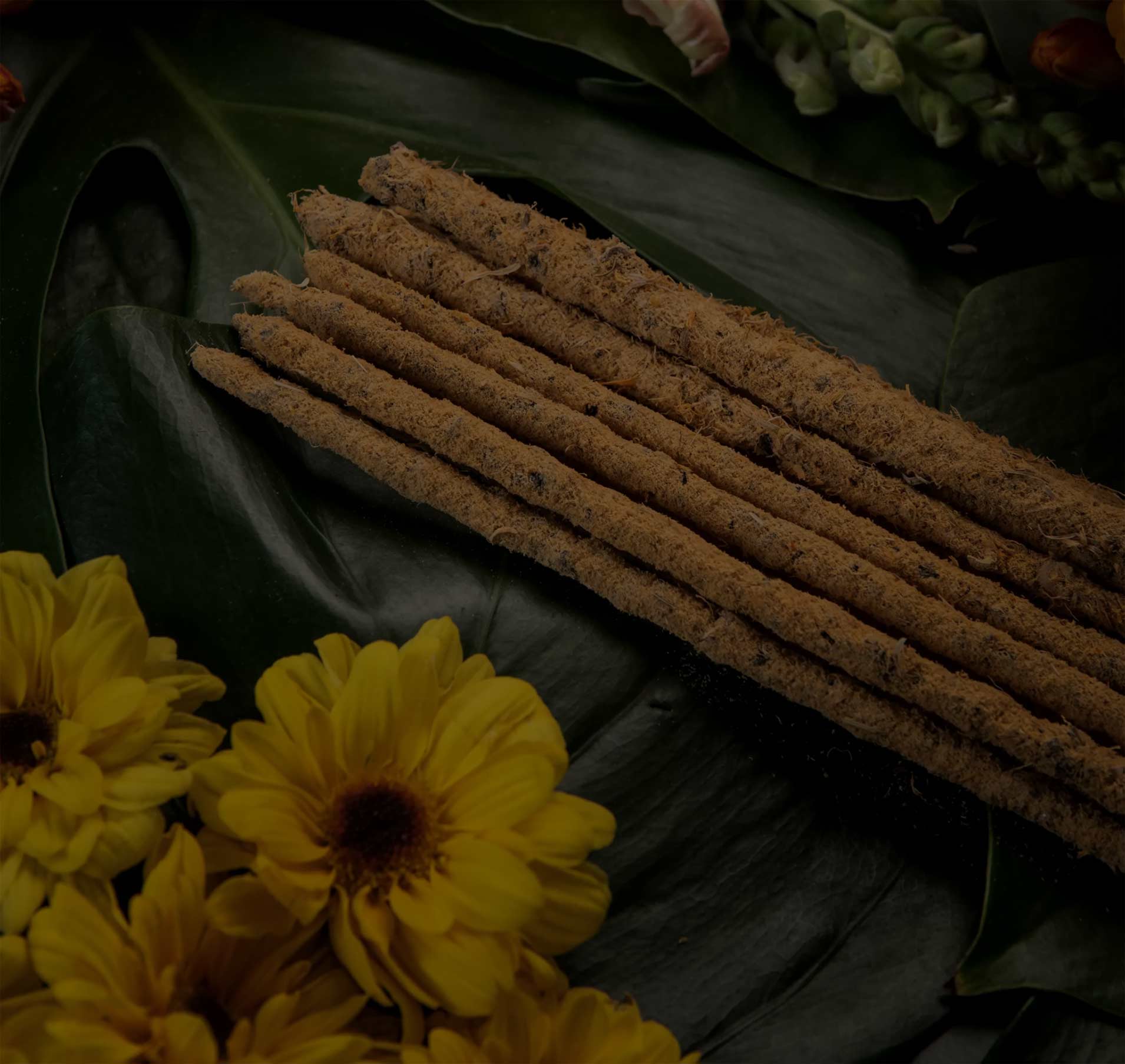 Guía de Inciensos Naturales | Usos y Rituales