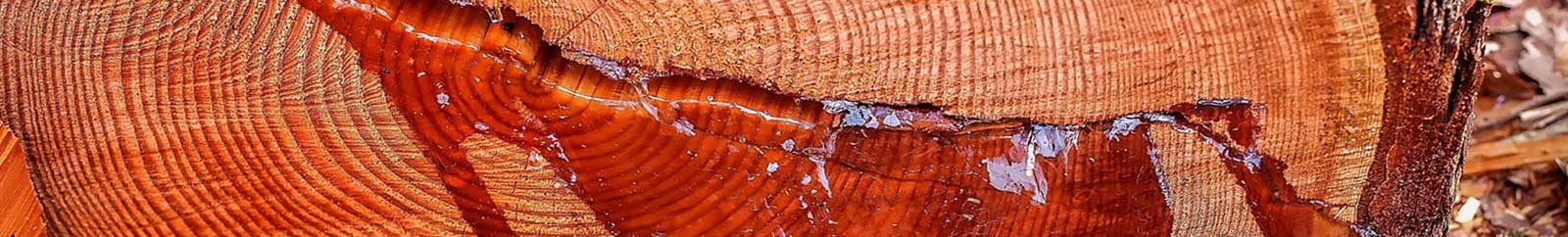 Resinas Aromáticas Vegetales para Sahumar