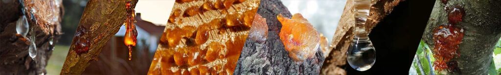 Resinas de Inciensos Mirra, Sangre de Dragón, Copal, Yagra, Olíbano y Benjuí